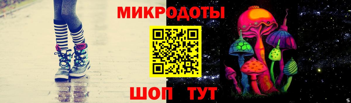 Галлюциногенные грибы Psilocybine cubensis  Галлюциногенные грибы мицелий  Бор  Вход с VPN 